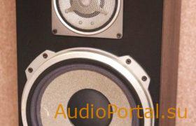 100ас015 gorizont ldsound.ru (1)
