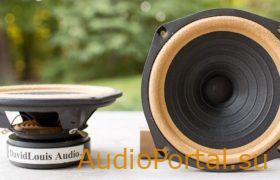 Diatone P610